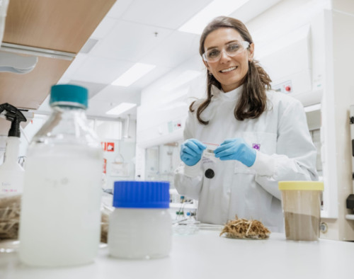 Image for UQ: Biomaterials from agricultural waste, a solution to reduce food and plastic waste - Investment and partner opportunity